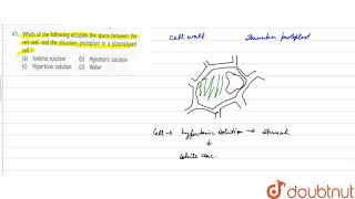 Which of the following occupies the space between the cell wall and the shrunken protoplast in a [upl. by Arahas]