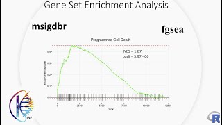 Gene Set Enrichment Analysis GSEA using Msigdbr and Fgsea Part 02 [upl. by Broderick]