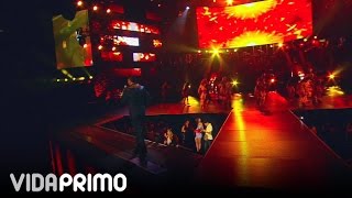 DON OMAR  SALIO EL SOL  HECHO EN PUERTO RICO [upl. by Spiro978]