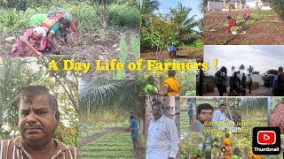 A day Life of Farmers l किसानों का एक दिन का जीवन lరైతుల రోజు జీవితంlவிவசாயிகளின் ஒரு நாள் வாழ்க்கை [upl. by Rotsen]