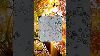 املاح Ca oxalate في عينه البول [upl. by Aralc625]