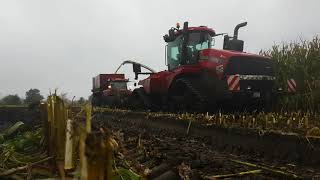 Schlammschlacht mit Case Quadtrac 620 [upl. by Airotkciv279]