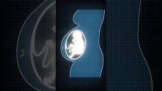 Fetal development shortvideo viralvideo fyp video [upl. by Nylessoj297]