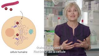 Fondamentalement appliqué  du labo aux patients avec Caroline Demangel [upl. by Tollman]