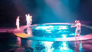 Le Reve show Wynn hotel Las Vegas [upl. by Nalad]