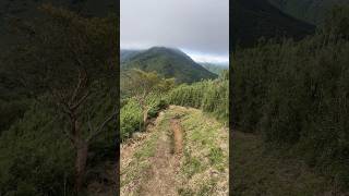 Hike in Hakone [upl. by Hanselka]