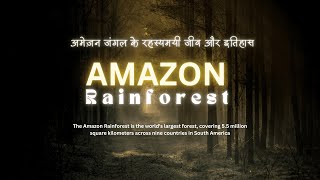 अमेज़न का जंगल का रहस्य  Amazon Rainforest  amazon jungle history  amazonforest history [upl. by Polk]