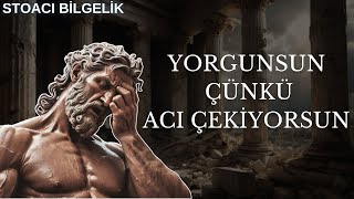 Acı Olmadan Başarı Olmaz Çekmen Gereken Acılar Nelerdir Stoacılık  Marcus Aurelius  Seneca [upl. by Atirehs]