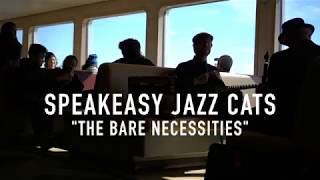 The Bare Necessities  Speakeasy Jazz Cats [upl. by Refotsirhc847]