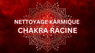 BLOCAGE CHAKRA RACINE  Nettoyage de mémoire karmique  Libération puissante Karma  Vie antérieure [upl. by Airotkiv926]