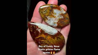 Bay of fundy  Nova Scotia golden flame plume agates bayoffundy novascotia rockhounding agates [upl. by Eiromem]