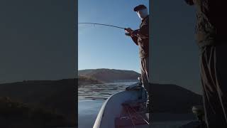 Topwater Bass Fishing at San Vicente Reservoir [upl. by Ahsatniuq]