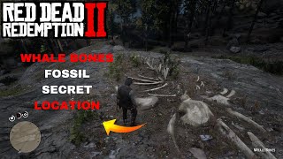 Whale Fossil Bones Secret Location  Red Dead Redemption 2  RDR2 Fossil Locations [upl. by Iak]