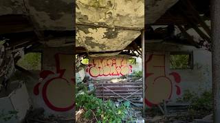 acute schwefelgelb handstyle graffiti tagsandthrows throwupcult spraypaint graffitithrowup [upl. by Anuahsar]