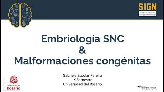 Embriología del SNC y malformaciones congénitas [upl. by Anna-Maria]