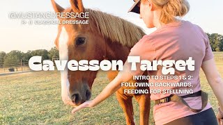 Cavesson Target with Positive Reinforcement [upl. by Gianni470]