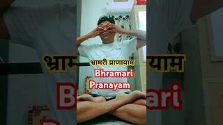 Bhramari Pranayam ll Benefits of Pranayam ll Bhramari Pranayam kaise kiya jata hai ll [upl. by Ecirtap220]