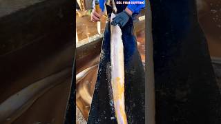 UNREAL Huge Conger Eel Slicing ASMR  Expert Fishmonger skills eelfish cutting short viral [upl. by Alderson]