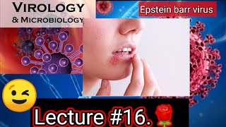 epstein barr virus microbiology epstein barr virus pathogenesis epstein barr virus VIROLOGY [upl. by Uzia482]