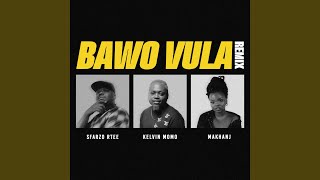 Bawo Vula Remix [upl. by Atalanta677]