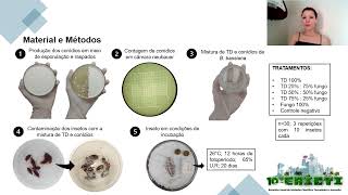 10º EAICTI  Associação de terra de diatomáceas e fungo entomopatogênico contra P americana [upl. by Sukramed690]