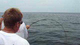 Huge 40 pound grouper Sebastian Offshore Fishing [upl. by Heda]