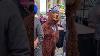 Impressionen zur Demo am 131124 gegen die Kürzungen im Kulturbereich berlinistkultur [upl. by Geilich]