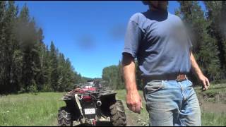 Quading in Waiparous Alberta [upl. by Godric]