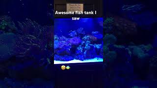 Cool fish tank [upl. by Nireves]