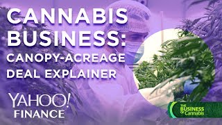 Cannabis business CEOs of Acreage Cannabis and Canopy Growth discuss massive pending merger [upl. by Goran85]