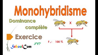 Exercice Monohybridisme  dominance complète [upl. by Cassell]