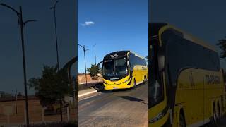 Marcopolo G8 automobile onibus travel onibusbrasil marcopolog8 reels shortvideo shorts [upl. by Trebornhoj]