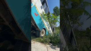 Pokhara bus accident 😱 Tree saved the life 🙏 shortsvideo shorts bus accident pokhara [upl. by Tymon]