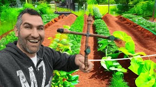 Water Your Garden EASILY With DIY Drip Irrigation [upl. by Frederick855]