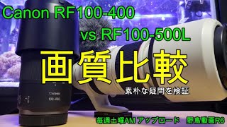 【野鳥撮影レンズテスト005】RF100400F568は野鳥撮影で活躍出来るか？ [upl. by Ainahpets]