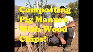 Composting Pig Manure With Woodchips [upl. by Kelcie]