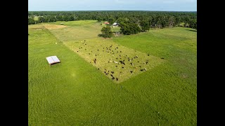 Buck Creek Ranch  Angelina County Texas Ranch for Sale [upl. by Korwin]