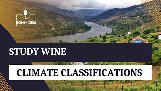 WSET STUDY WINE What is the classification for wine regions climates [upl. by Rodmann380]