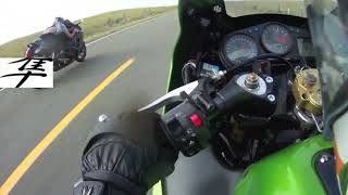 ZX12R VS HAYABUSA  KAWASAKI POWER [upl. by Iturk]