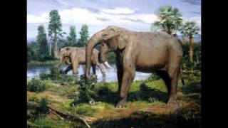 Top 10 Prehistoric Mammal Herbivores [upl. by Obaza]