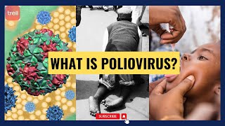 Understanding What Is Poliovirus polio virus health kids youtube video medicine medical [upl. by Andriette]