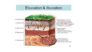 Process of Soil Formation Soil science 12 [upl. by Leumas367]