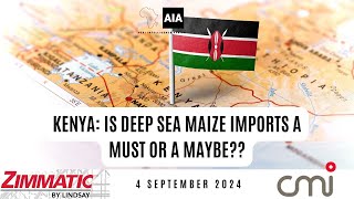 Kenya Is Deep Sea Maize Imports a MUST or a MAYBE  4 Sept 2024 [upl. by Harehs]