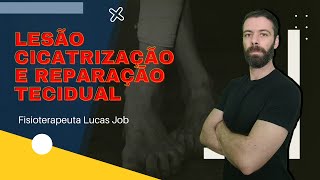 Lesão Reparação e Cicatrização Tecidual [upl. by Ellehsat]