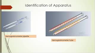 HB estimation  procedure and spotting [upl. by Brill114]