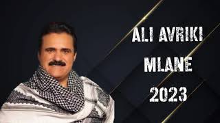 Ali avriki mlane full full zawq new 2023 علي افريكي ملاني فول فول زه وق ٢٠٢٣ نيو [upl. by Garrek]