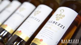 Balduzzi Wines [upl. by Becka140]