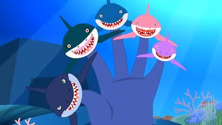 Shark Finger Family  Baby Finger  Nursery Rhymes and Songs For Kids  Fish Cartoon Rhymes [upl. by Bluh589]