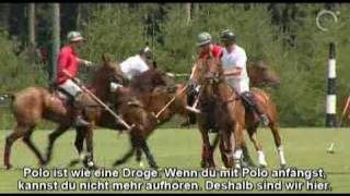 Poloturnier AureliaCup [upl. by Ahsilrac]