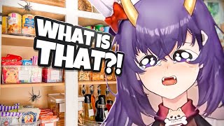 This VTuber Left Food Mold in her Pantry for 6 Months [upl. by Enaols]